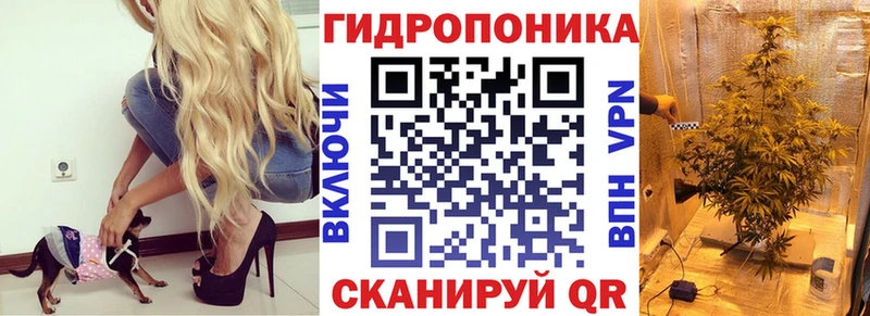 Как найти закладки Орлов A PVP Каннабис