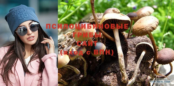 прущие грибы Арсеньев