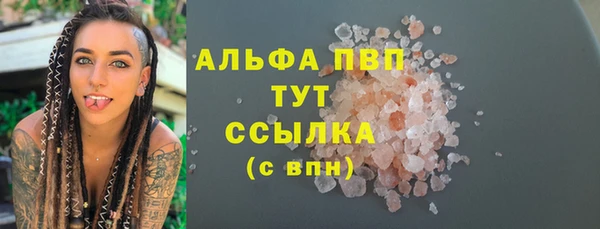 прущие грибы Арсеньев