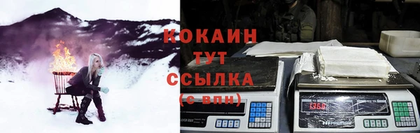 твердый Сатка