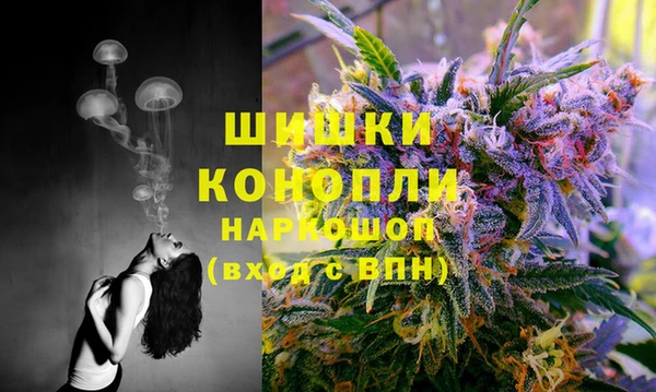 прущие грибы Арсеньев