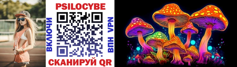 мега tor Орлов Псилоцибиновые грибы Psilocybe